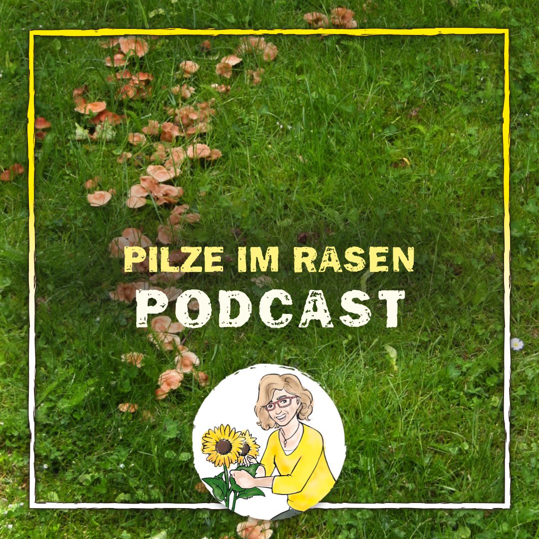 Pilze im Rasen