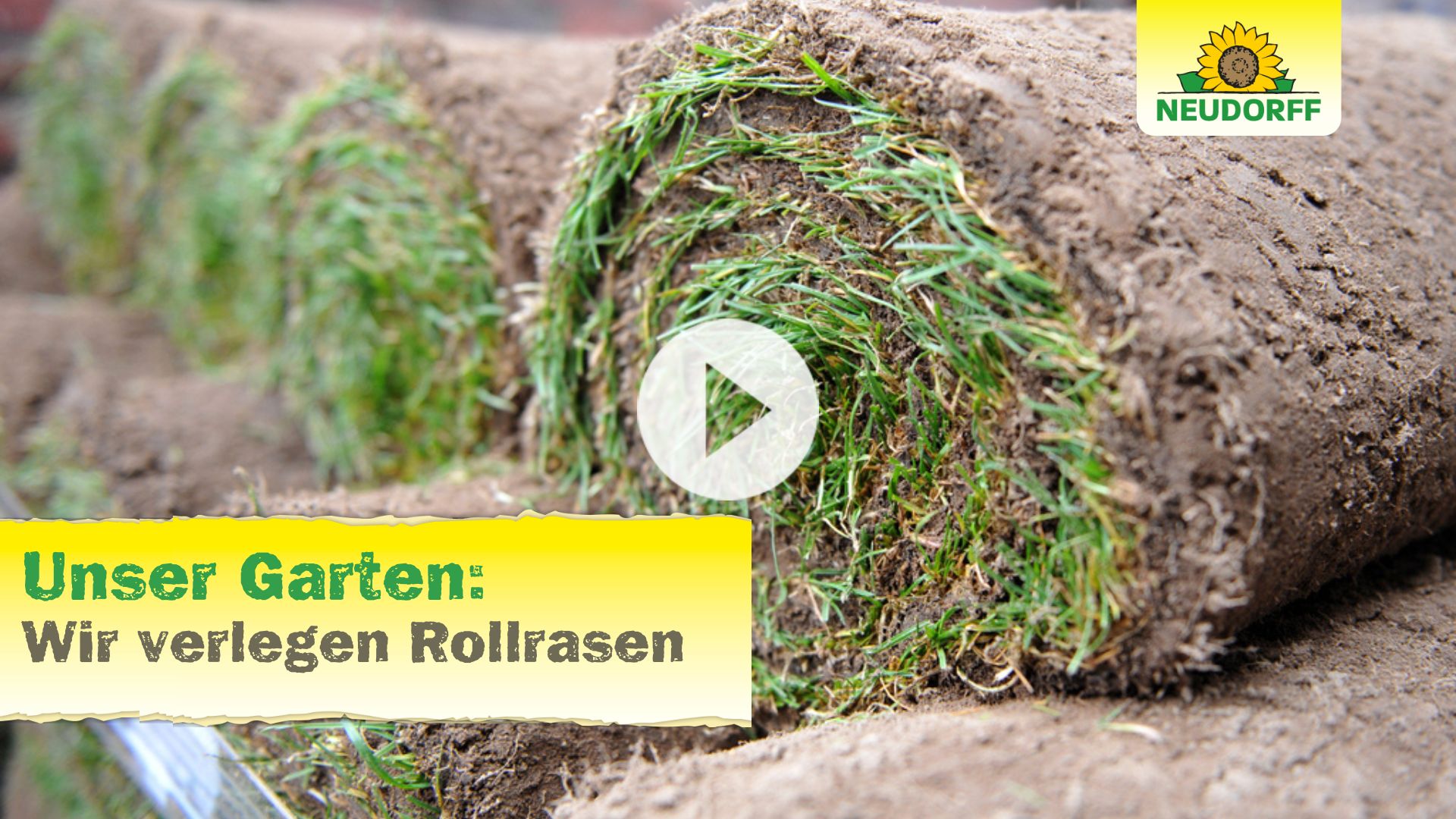 Youtube-Short: Rollrasen