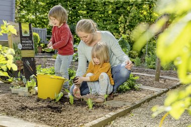 NeudoHum_Hochbeet-_und_GartenKompost.jpg