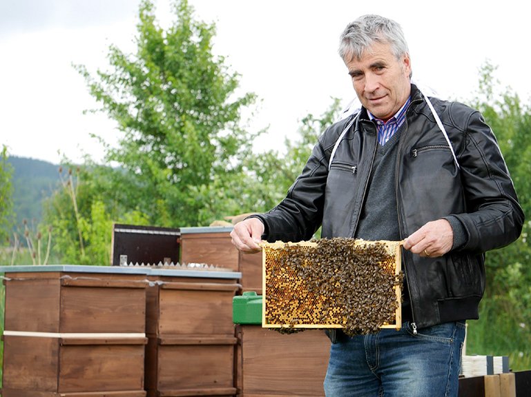 Bienenfreund Hans Martin Lohmann - Geschäftsführer von Neudorff