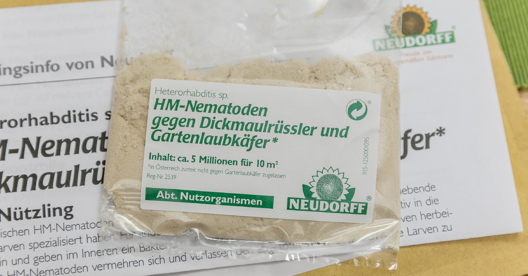 Mit HM-Nematoden Dickmaulrüssler bekämpfen