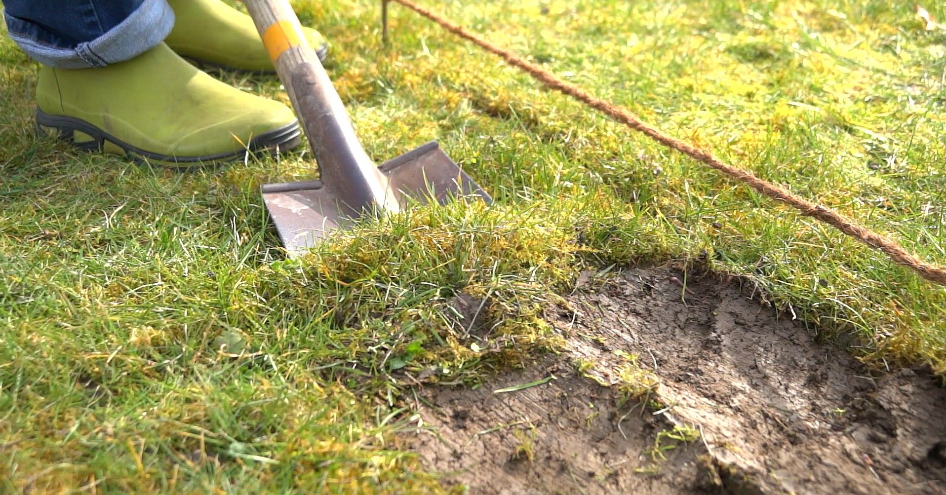 Den Rasen flach abstechen, um die Fläche für das Blumenwiesen-Saatgut vorzubereiten