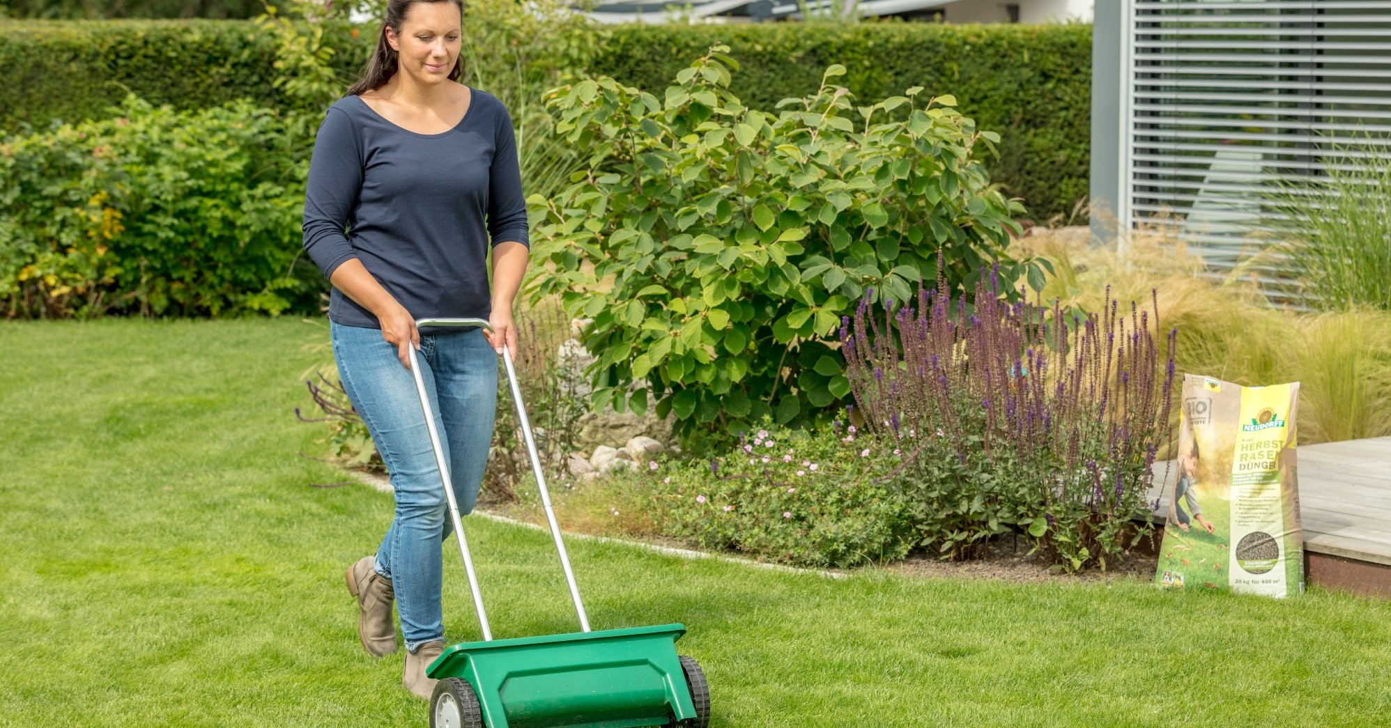 Rasendünger im Herbst mit einem Streuwagen auf dem Rasen gleichmäßig verteilen