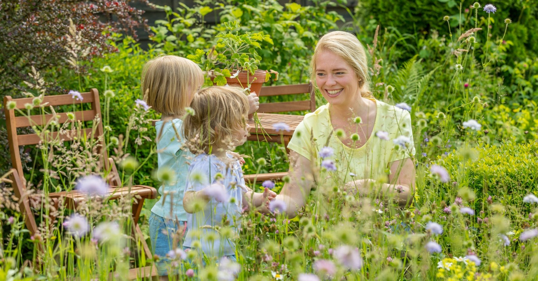 Mit Blumenwiesen Insekten fördern