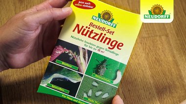 Bestell-Set_Nuetzlinge_gegen_Schadinsekten_aw01_200525.jpg