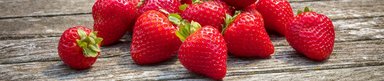 frische Erdbeeren