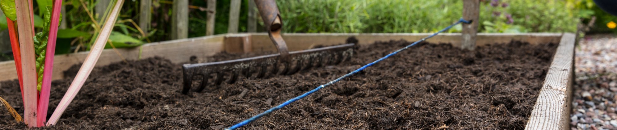 Beet für Gemüse vorbereiten