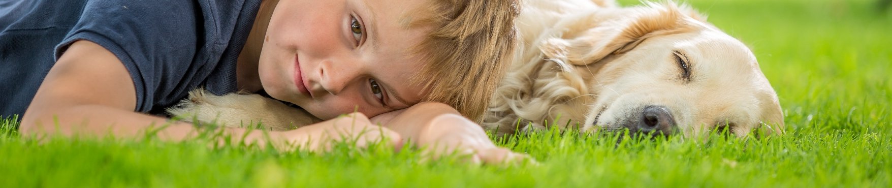 Einen gepflegten Rasen wird gerne im Sommer als Liegefläche genutzt