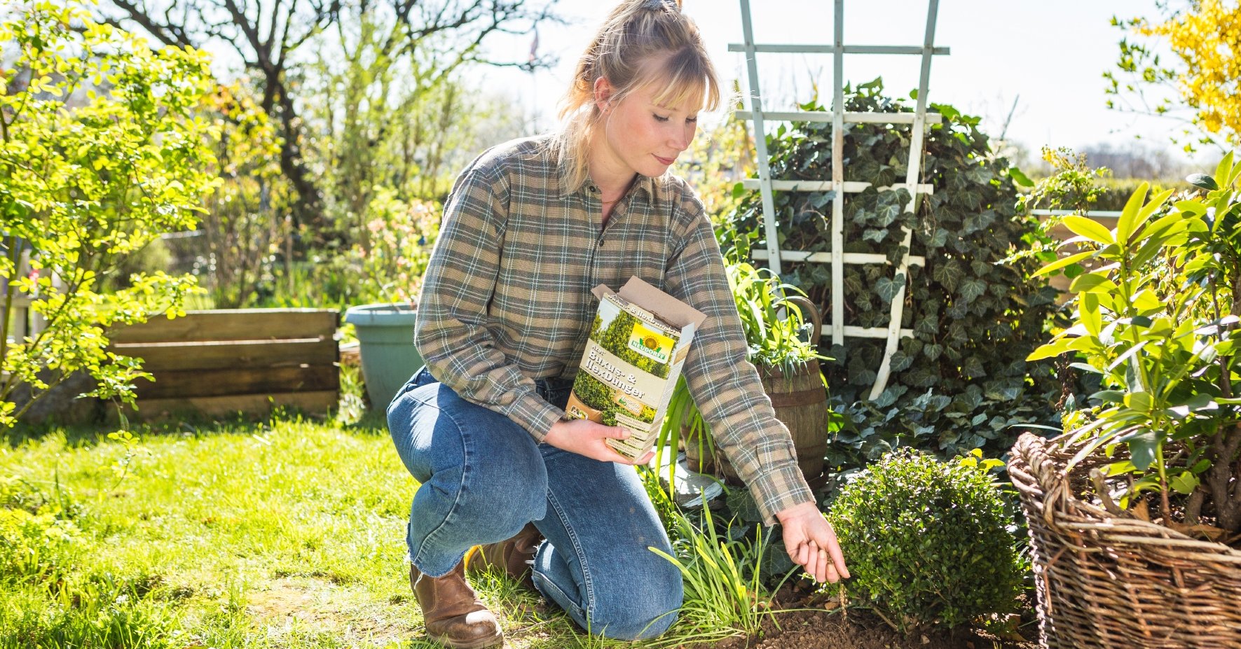 Azet Buxus- und Ilex Dünger für Buchsbäume