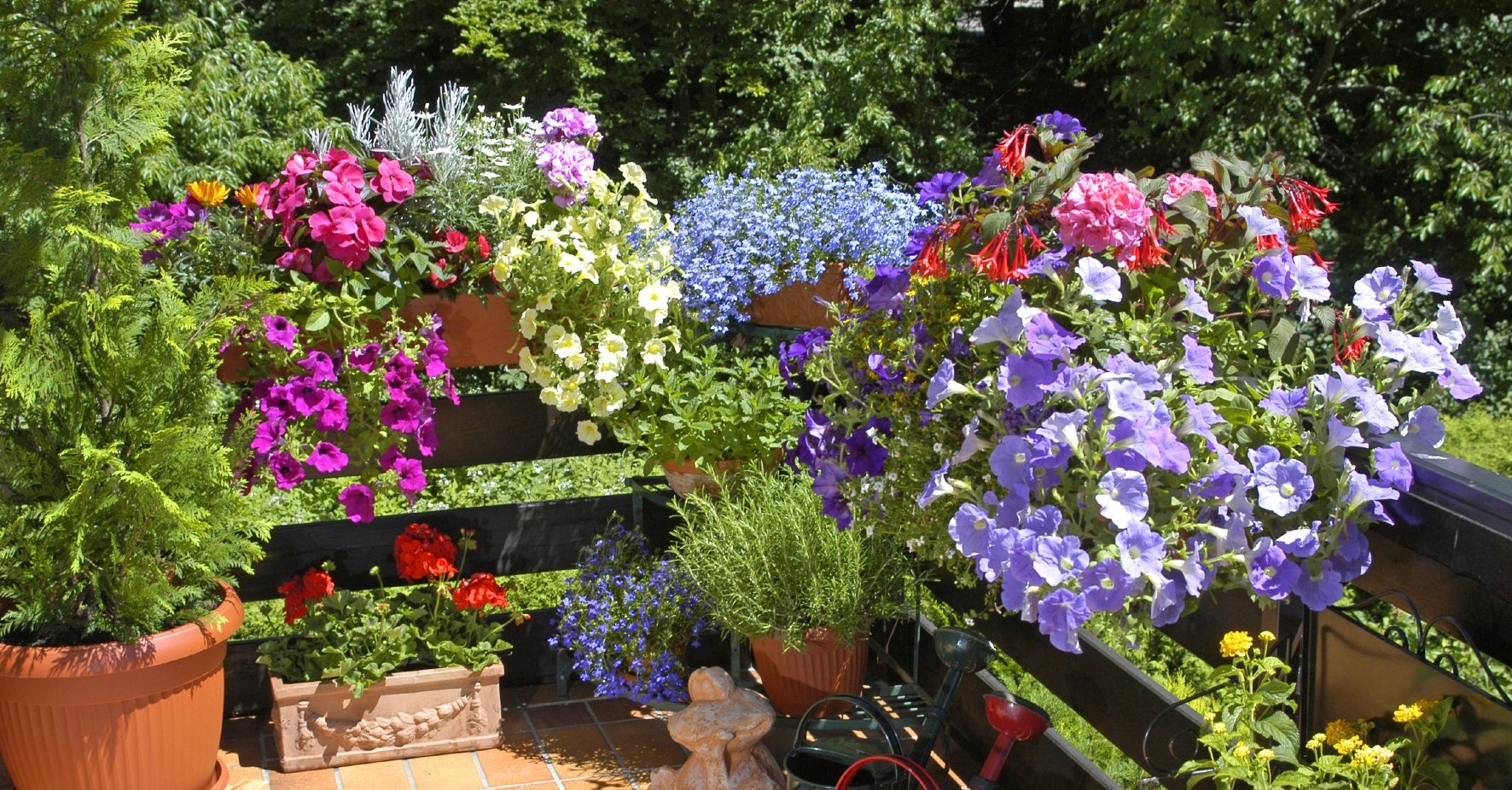 bienenfreundlicher Balkon