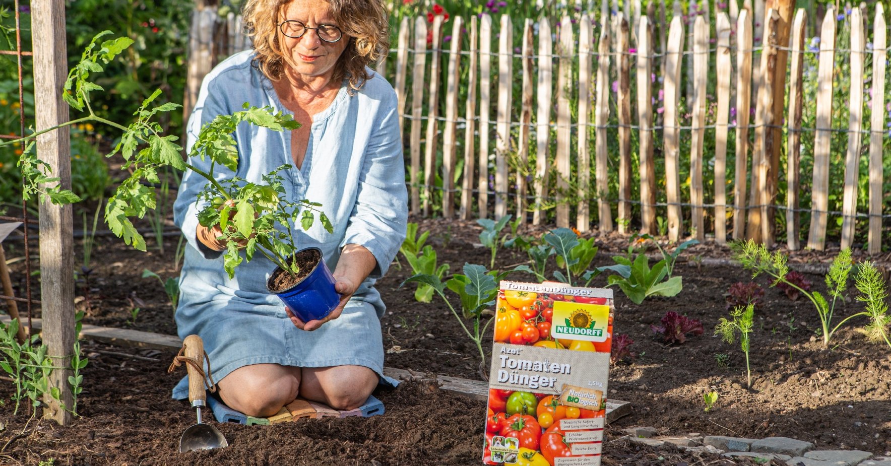 Tomaten und anderes Gemüse braucht organischen Dünger für aromatische Früchte