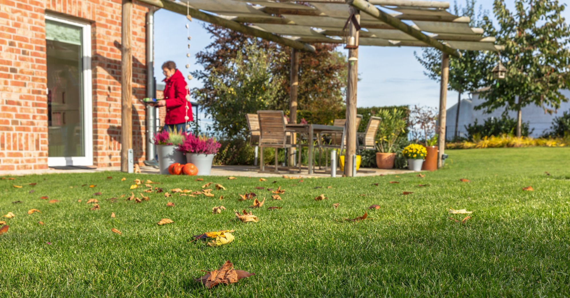 Warum den Rasen im Herbst düngen?