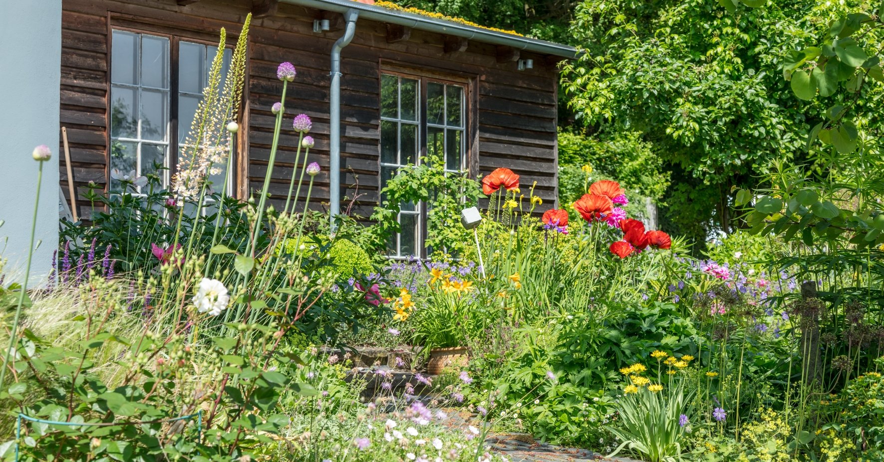 Lebensräume für Insekten im eigenen Garten