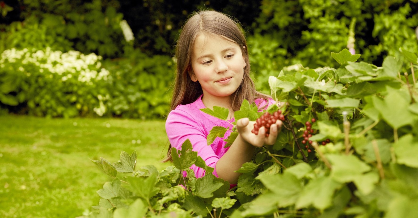 Mädchen mit Johannisbeeren im Garten