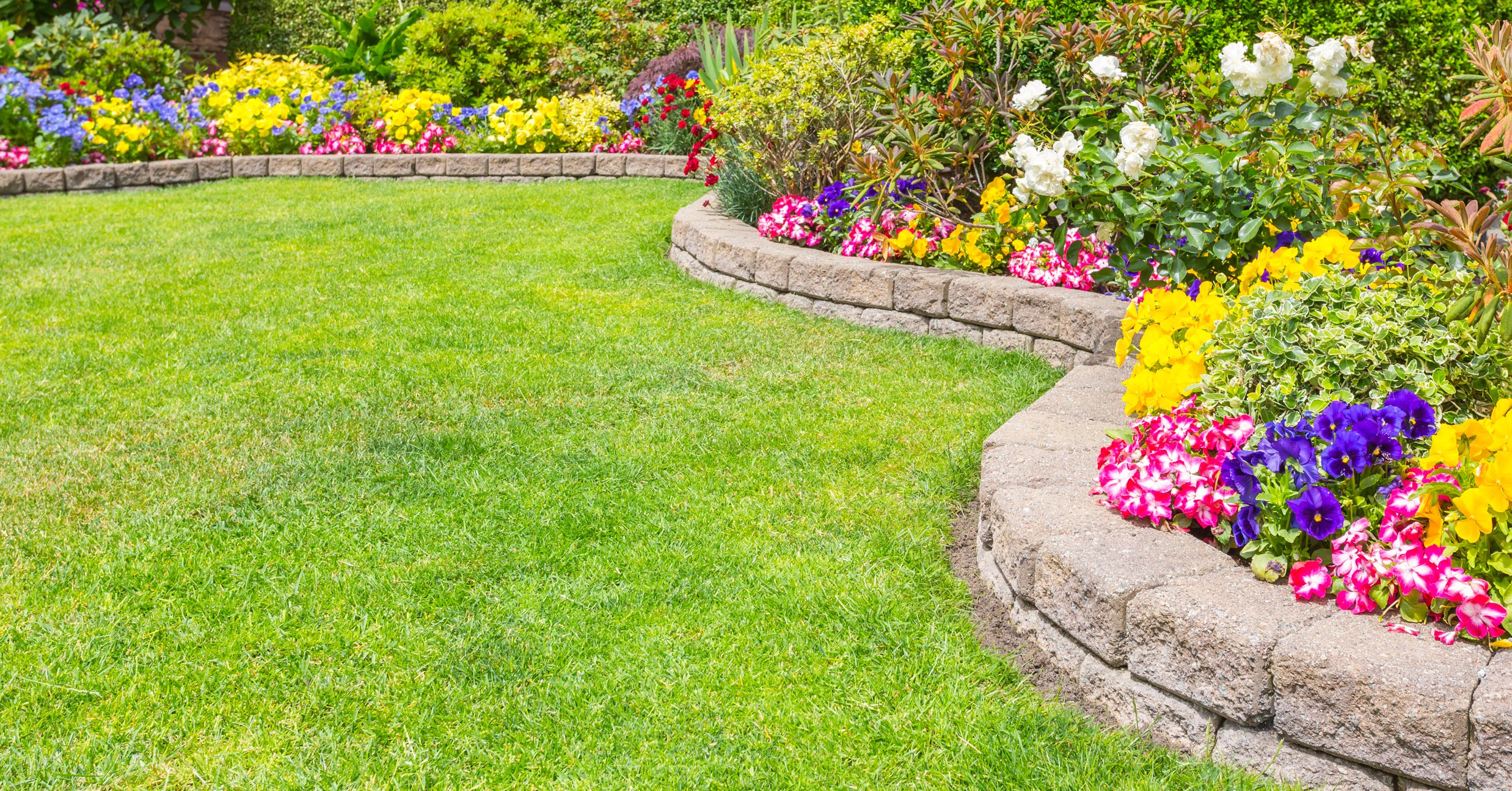 Gesunder Rasen mit Blumenbeet