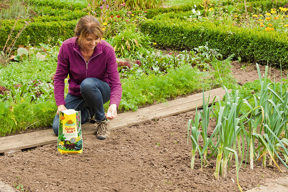 Frau kalkt Erde mit Azet GartenKalk +