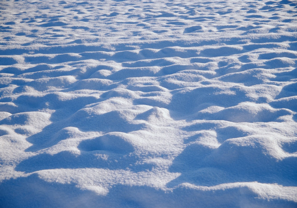 Schnee und Winterzeit im Garten