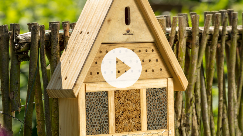 Insektenhotel hilft Nützlingen