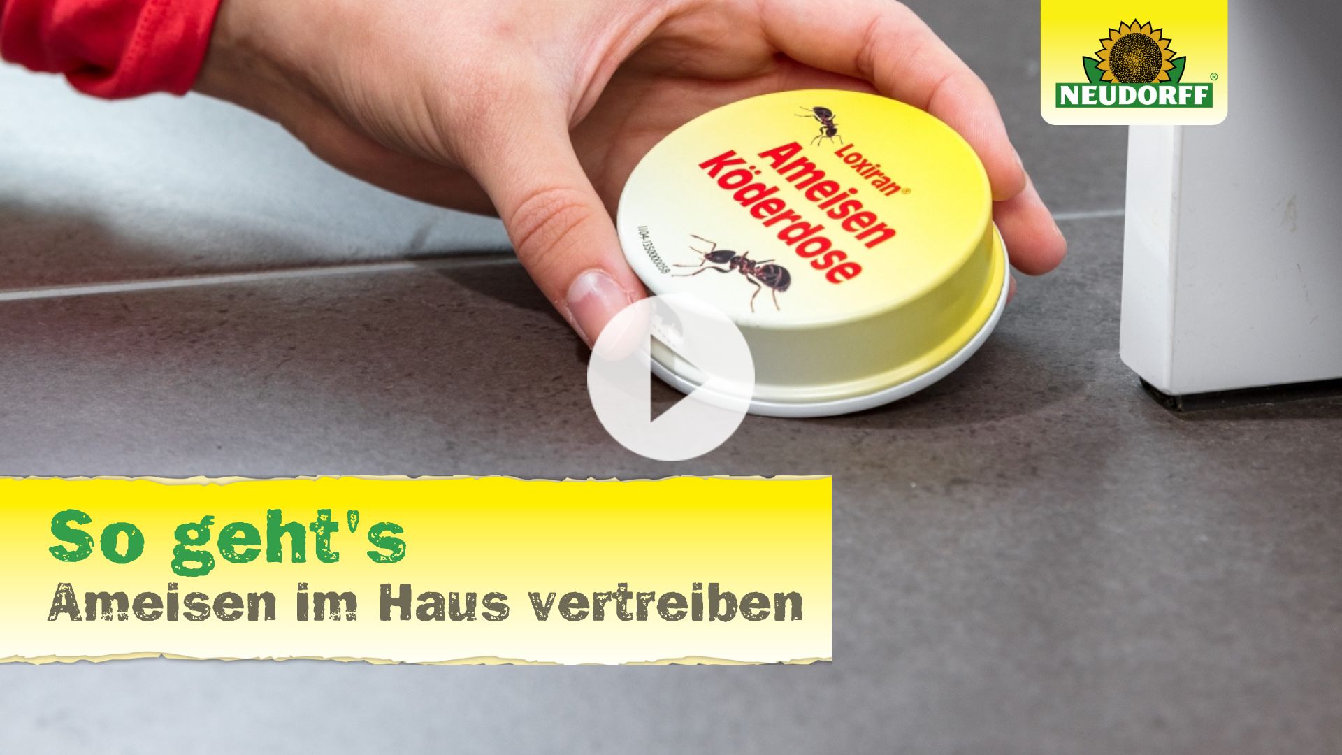 So geht's: Ameisen im Haus vertreiben