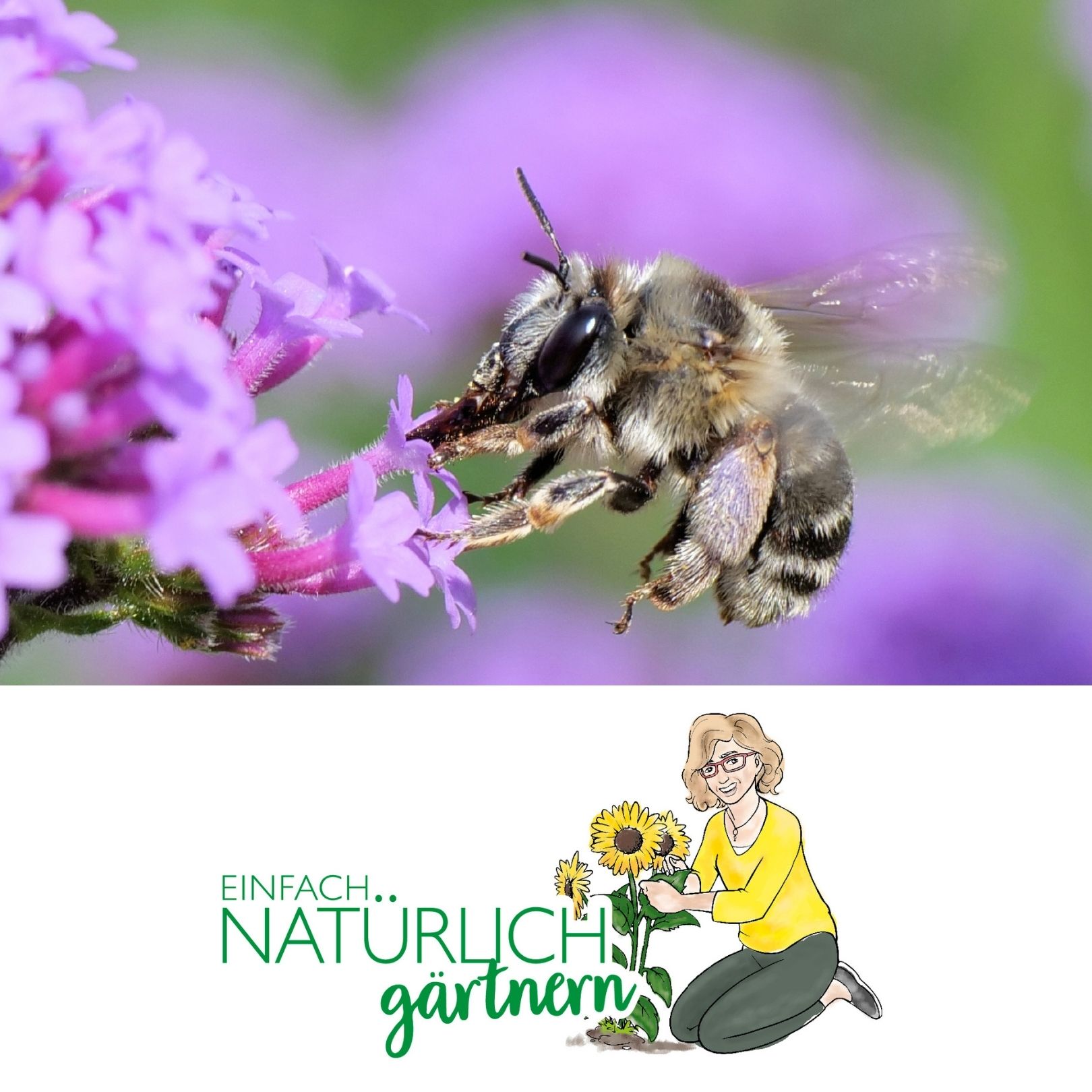 Neudorff Podcast - Wildbienen anlocken