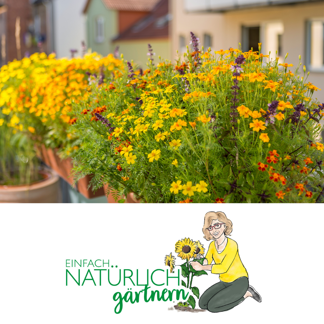 Neudorff Podcast - bienenfreundlicher Balkon