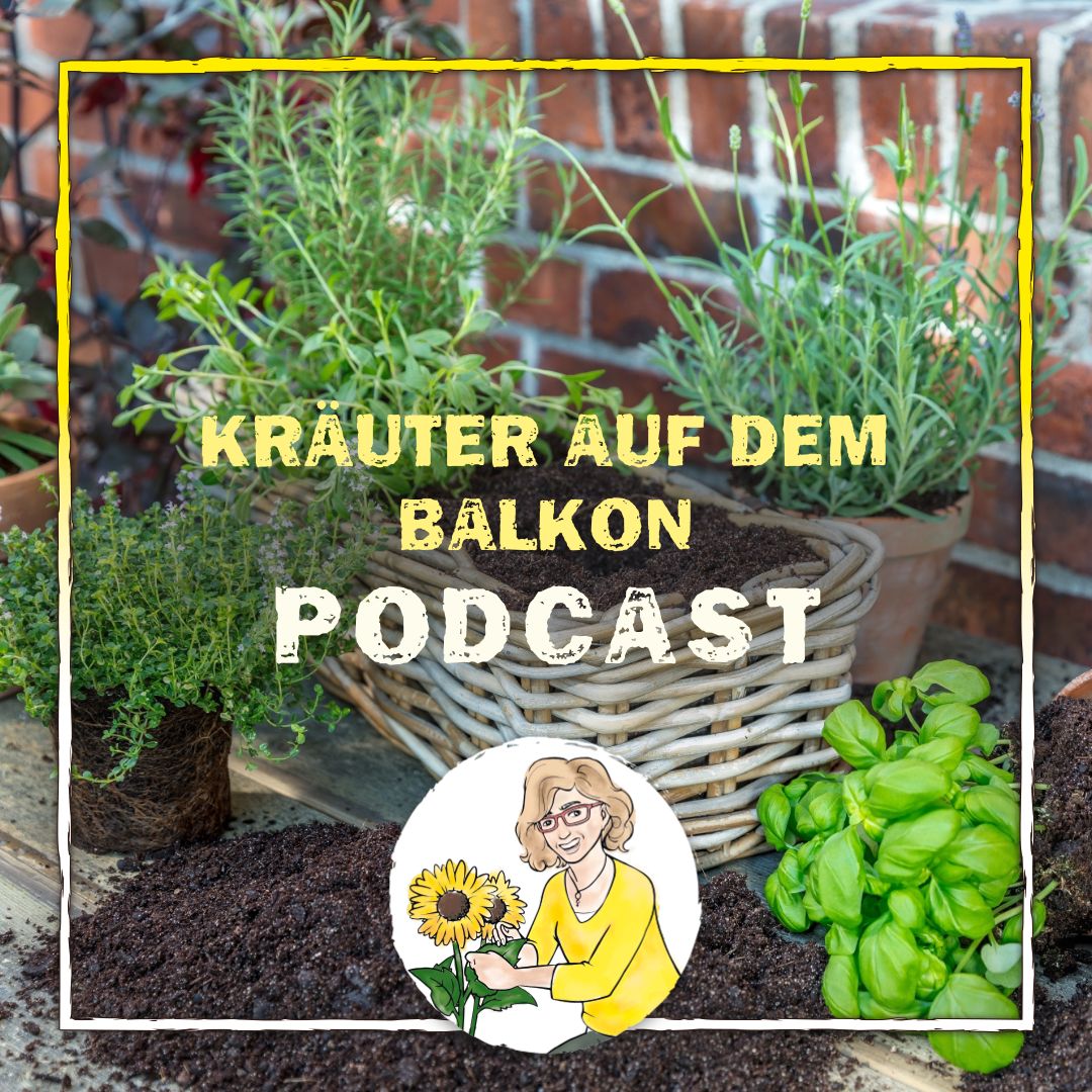 Podcast Folge 47