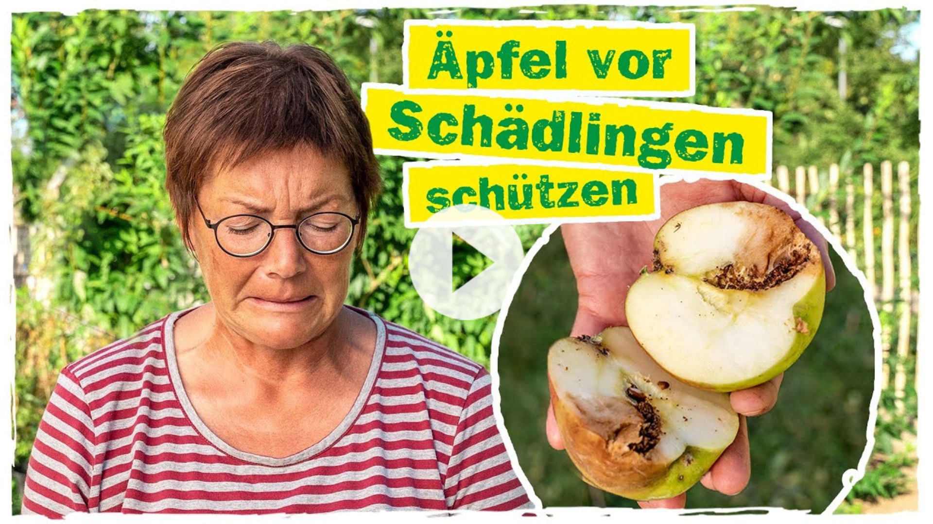 Äpfel vor Schädlingen schützen