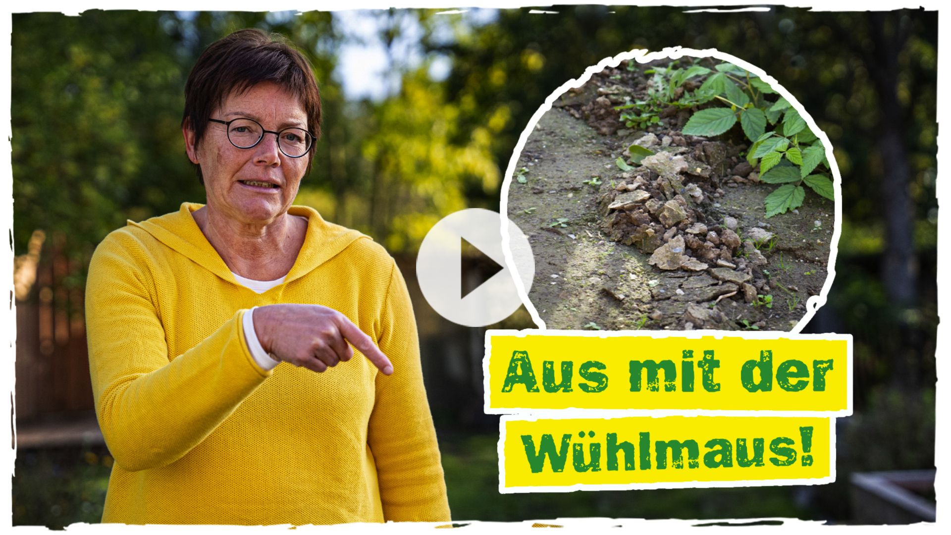 Wühlmäuse bekämpfen