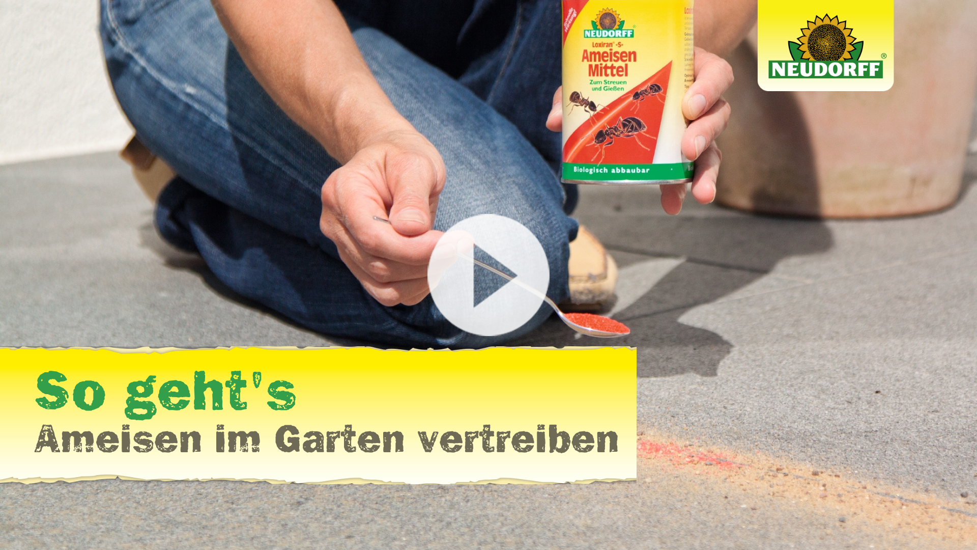 So geht's: Ameisen im Garten vertreiben