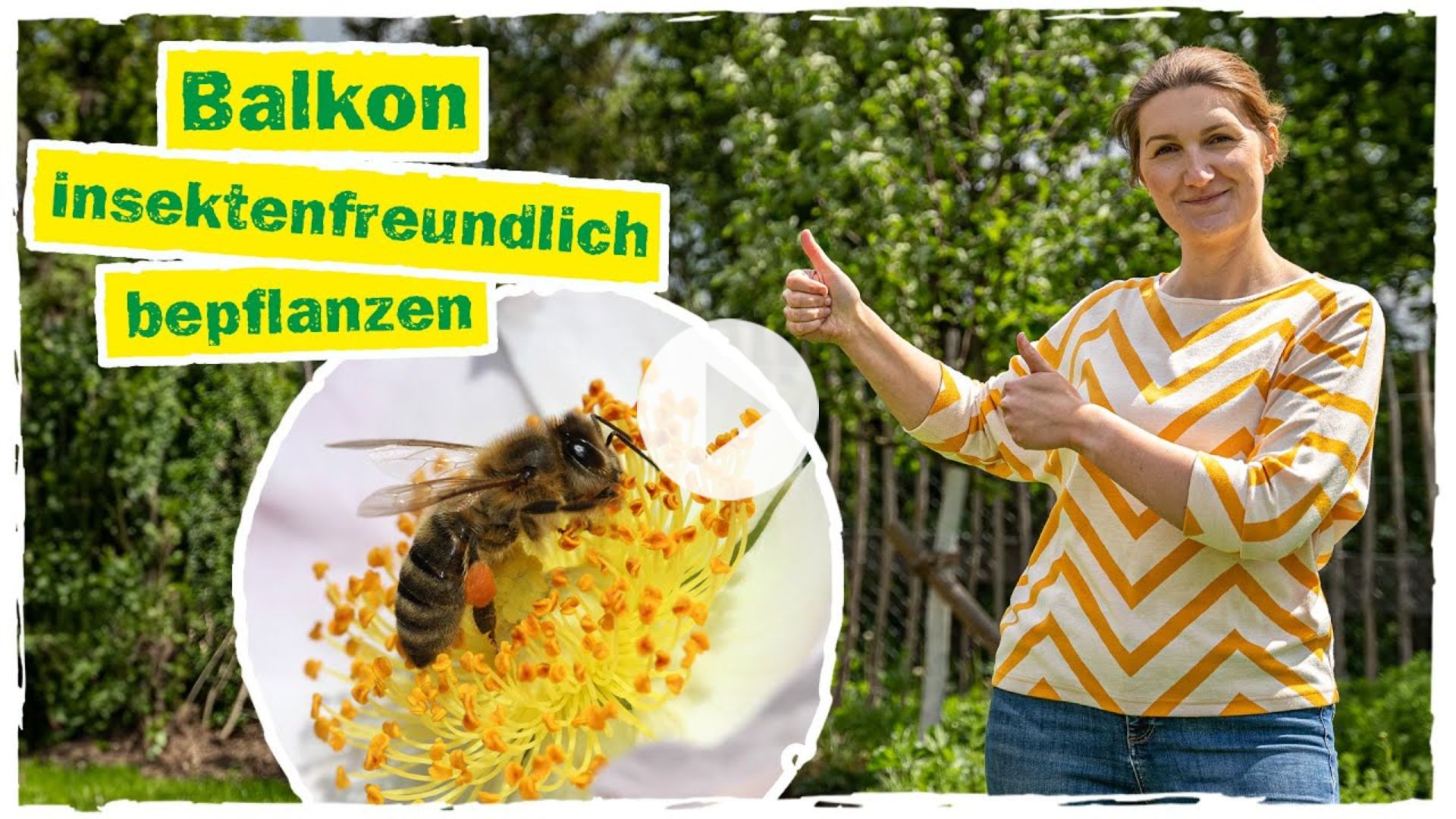 Balkon insektenfreundlich bepflanzen