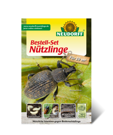 Bestell-Set Nützlinge gegen Bodenschädlinge